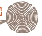 Knotty Gnome logo